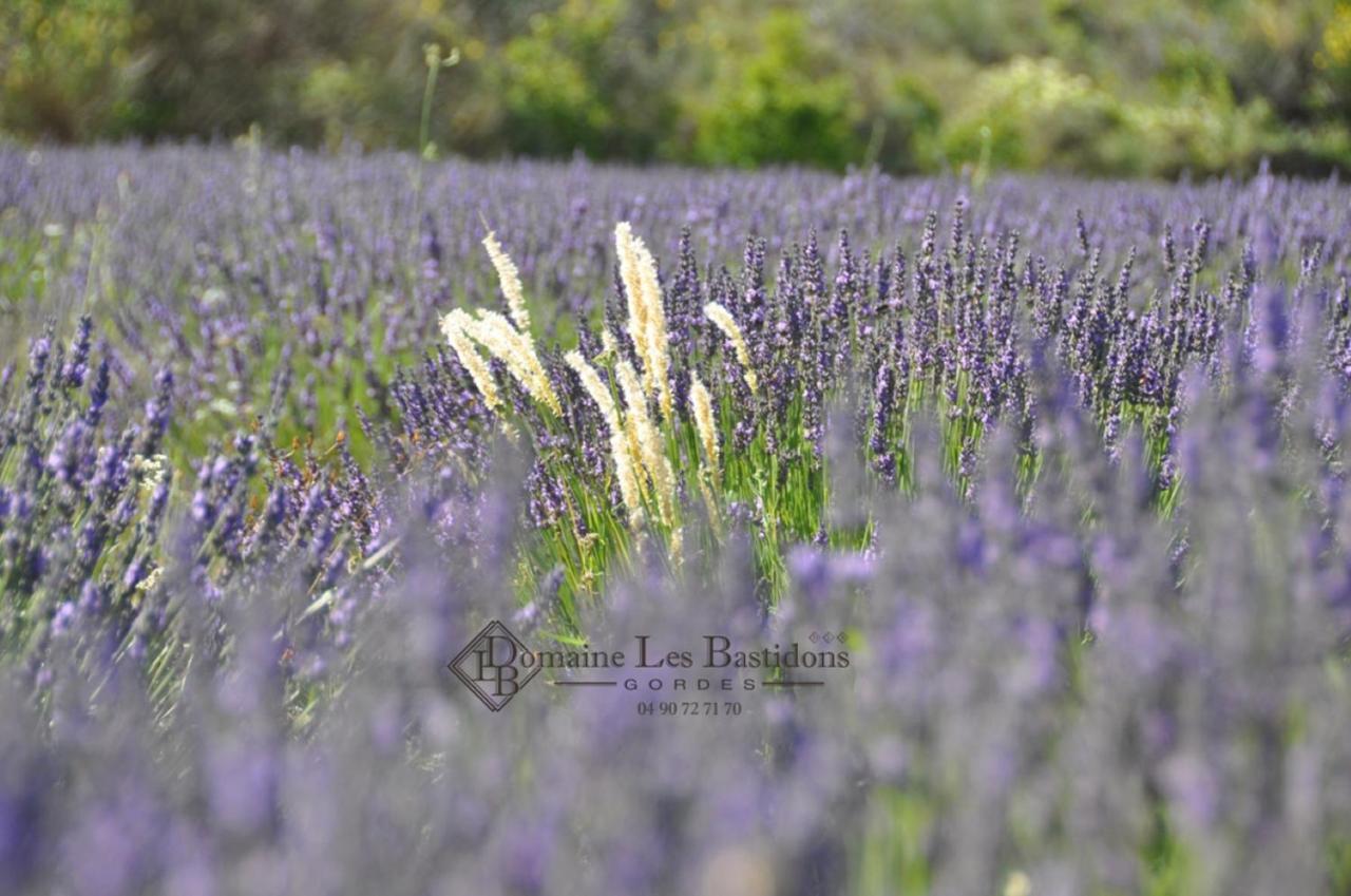 Domaine Les Bastidons Villa Gordes Exterior photo